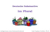 Im Plural Deutsche Substantive Lizz Caplan-Carbin, Ph.D.