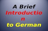 A Brief Introduction to German. Session 4 Viertende œbung