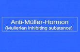 Anti-M¼ller-Hormon (Mullerian inhibiting substance)