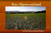 Das Alpenvorland Von Selina Born und Sandra P¼chner