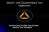 Quark- und Gluonstruktur von Hadronen Seminarvortrag SS 2005, Zoha Roushan Seminarvortrag SS 2005, Zoha Roushan Betreuer: Prof. M.Erdmann