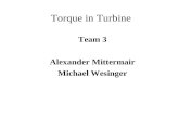 Torque in Turbine Team 3 Alexander Mittermair Michael Wesinger