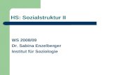 HS: Sozialstruktur II WS 2008/09 Dr. Sabina Enzelberger Institut f¼r Soziologie