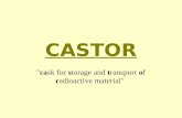 CASTOR "cask for storage and transport of radioactive material"
