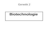 Genetik 2 Biotechnologie. Polymerase-Kettenreaktion PCR