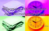 September 20131 Allgemeine Informationen zum Betriebspraktikum T. Sch¶ne T. Sch¶ne