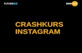 Instagram Marketing und Anzeigen crashkurs