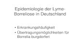 Epidemiologie der Lyme- Borreliose in In Deutschland erkranken in jedem Jahr 50.000 - 60.000 Menschen