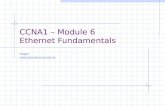 CCNA1 â€“ Module 6 Ethernet Fundamentals Fragen: webmaster@munz-udo.de