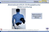 Beurteilung der Arbeitsbedingungen bei Belastungen des Muskel-Skelett-Systems 1 Betriebs¤rztlich-Orthop¤dische Untersuchung Mehrstufen- Diagnostik (MsD)