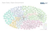 Open Data / Open Government "Best Practice"