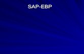 SAP-EBP. SAP-EBP Zugang Zugang die Zugangsberechtigungen k¶nnen auf der SAP-Homepage beantragt werden die Zugangsberechtigungen k¶nnen auf der SAP-Homepage