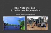 Die Nutzung des tropischen Regenwalds Zwischen Naturschutz und Ausbeutung
