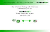 Copyright 2006 by Worldsoft AG / Realisation durch rsu-webdesign Zusammenspiel CMS-Shop und ECMS Der folgende Vortrag soll Ihnen das Zusammenspiel von