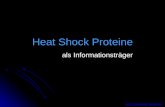 Heat Shock Proteine als Informationstr¤ger von Dominik Werner