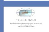 IT-Senior Consultant Organisationsoptimierungen in der Verwaltung als freiberuflicher beratender Betriebswirt