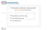 IT-Experten Channel Spiceworks Allgemeines zur Platzierung Userschaft/Zielgruppe Formate/Pricing