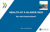 Health at-a-glance-2015