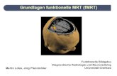Grundlagen funktionelle MRT (fMRT) - Baltic Imaging Center .Die Zeit, die zwischen zwei aufeinander