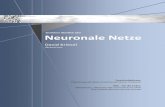 œberblick Neuronale Netze - News [D. Kriesel] .F¤higkeitenhat,alsimManuskriptinFormvonPraxistippsbeschriebenwerdenkann