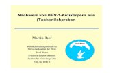 Nachweis von BHV-1-Antik£¶rpern aus (Tank)milchproben Bovillis IBR GK/D (leb.) Ibraxion (inakt.) MB