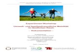 ExpertInnen-Workshop Umwelt- und familienfreundliche ... von Wissenslandkarten zu verdichten. Abb. 2