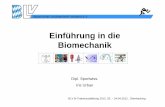 Einführung in die Biomechanik - blv-sport.de · PDF fileBayerischer Leichtathletik-Verband e.V. BLV B-Trainerausbildung 2012, 20. – 24.04.2012, Oberhaching Einführung in die Biomechanik