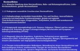 1 Herzinsuffizienz - uksh.de beck... · PDF file1 Herzinsuffizienz 1.1.1 Klinische Einteilung akute Herzinsuffizienz, Ruhe- und Belastungsinsuffizienz, Links-Rechtsinsuffizienz, globale