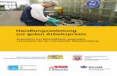 Handlungsanleitung zur guten · PDF file Handlungsanleitung zur guten Arbeitspraxis „Exposition von Beschäftigten gegenüber Lösemitteln bei der industriellen Metallreinigung“