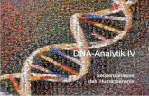 DNA-Analytik IV - · PDF fileDNA-Analytik IV. Hochauflösende Kartierung des Genoms Vollständige Sequenzierung aller Chromosomen Identifikation aller Gene Technologie-Entwicklung