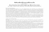 Modulhandbuch - Universität Düsseldorf: · PDF fileModulhandbuch für den Bachelorstudiengang Biochemie an der Heinrich-Heine-Universität Düsseldorf Ziel des Studiengangs: Ziel