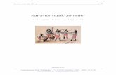Kammermusik-Sommer - · PDF fileMUSIKANTIQUARIAT RAAB Musikantiquariat Raab • Radspielerstr. 17 • D 81927 München • 0049 – (0)89 – 91 57 80 • antiquariat@dreiraaben.de
