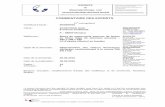 COMMENTAIRE DES EXPERTS - · PDF file EXPERTS de Materialprüfungs- und Versuchsanstalt Neuwied GmbH 08.03.2010 COMMENTAIRES DES EXPERTS 60/0209/10 3 de 14 Traduction non assermentée