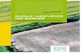 Umweltbundesamt: Globale Landflächen und Biomasse ... · PDF file Globale Landflächen und Biomasse nachhaltig und ressourcenschonend nutzen. 3. zuordnung der Biomasse nach primärem