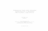 Alignment test with nitrogen molecules for a bromine ... · PDF fileAlignment test with nitrogen molecules for a bromine dissociation experiment Bachelor thesis by Lisa Herr Institut