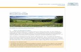 UmweltWissen – Natur Biodiversität · PDF fileBayerisches Landesamt für Umwelt UmweltWissen – Natur Biodiversität Die Vielfalt an Individuen, Arten, Ökosystemen, Nutztierrassen