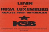 Die Differenzen zwischen Lenin und Rosa · PDF fileLenin Vorbemerkungen In diesem Arbeitsbericht sollen die theoretischen und praktischen Differenzen zwi­ schen Lenin und Rosa Luxemburg