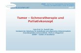 Tumor –Schmerztherapie und Palliativkonzept - · PDF fileZISOP-Zentrum für interdisziplinäre Schmerztherapie, Onkologie und Palliativmedizin, Center of excellence Tumor –Schmerztherapie