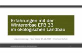 Erfahrungen mit der Wintererbse EFB 33 im ökologischen Landbau · PDF file Erfahrungen mit der Wintererbse EFB 33 im ökologischen Landbau Leguminosentag-Haus Düsse14.11.2019 –Eberhard