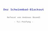 Der Schwimmbad-Blackout Referat von Andreas Brandl - TL1 Prüfung